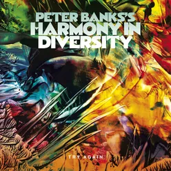 Peter Banks's Harmony in Diversity: Try Again