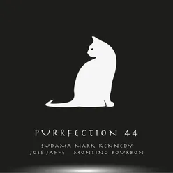 Purrfection 44