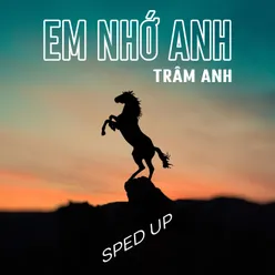 Em Nhớ Anh Sped Up