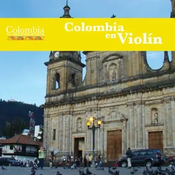 Colombia en Violín Colombia en Instrumentos 06