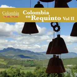 Colombia en Requinto Vol.II Colombia en Instrumentos 16