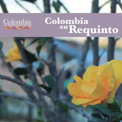 Colombia en Requinto Colombia en Instrumentos 12