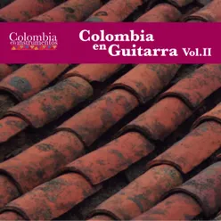 Colombia en Guitarra Vol.II Colombia en Instrumentos 14