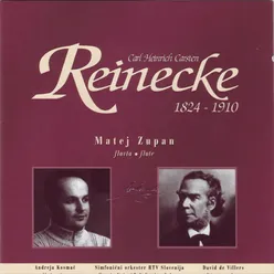 Sonata for Flute and Piano (Sonata Undine), Op. 167: II. Intermezzo. Allegretto vivace