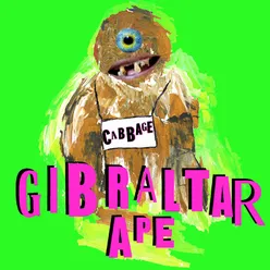 Gibraltar Ape