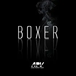 Boxer