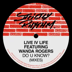 Do U Know? (feat. Wanda Rogers) [House Cats Lady Land Mix]