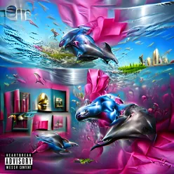 Dolphin Cum