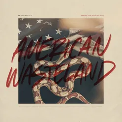 American Wasteland