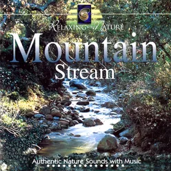 Mountain Stream