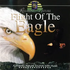 Flight of the Eagle