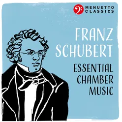Franz Schubert: Essential Chamber Music