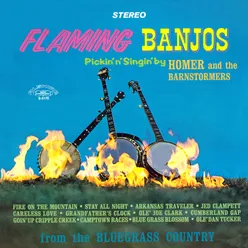 Flaming Banjos 2021 Remaster from the Original Alshire Tapes