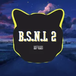 B.S.N.L 2 (feat. B-Ray, Young H) Remix