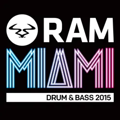 RAMiami Drum & Bass 2015 (Continous DJ Mix)