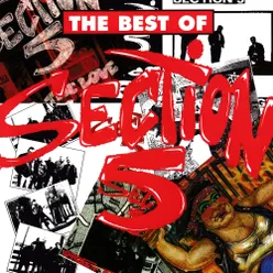 The Best Of Section 5