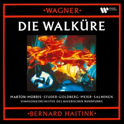 Wagner: Die Walküre, Act 2, Scene 4: "Weh! Weh! Süßestes Weib" (Siegmund)