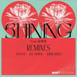 Shining (feat. Fiona Sit) [DJ SHEK Remix]