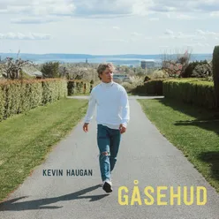 Gåsehud