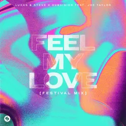 Feel My Love (feat. Joe Taylor) Festival Mix