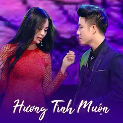 Hương Tình Muộn