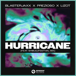 Hurricane (feat. SHIBUI) Festival Mix