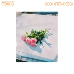 2001 Remixes