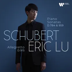 Piano Sonata No. 20 in A Major, D. 959: III. Scherzo (Allegro vivace) - Trio (Un poco più lento)