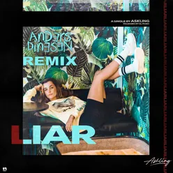 Liar (Anders Dinesen Remix)