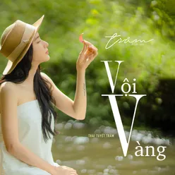 Vội Vàng