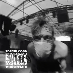 Spytaj policjanta Ruleta Hardcore 1988 Remix