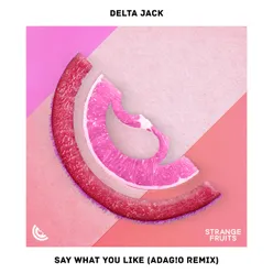 Say What You Like (ADAG!O Remix)