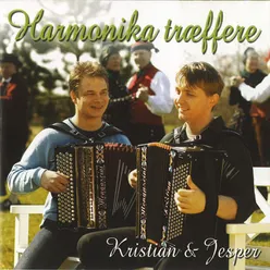 Trædballehus polka