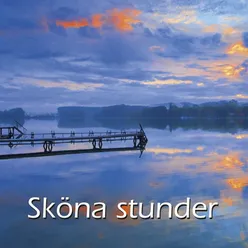 SPA-Serien - Sköna stunder