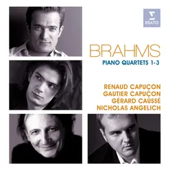 Brahms: Piano Quartet No. 1 in G Minor, Op. 25: I. Allegro