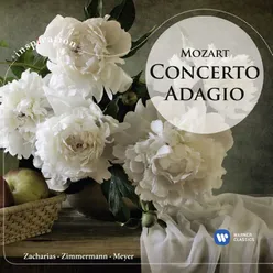 Oboe Concerto in C Major, K. 314: II. Adagio non troppo