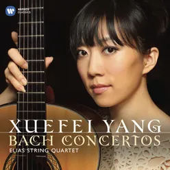 Violin Concerto No. 2 in E major BWV1042: Allegro