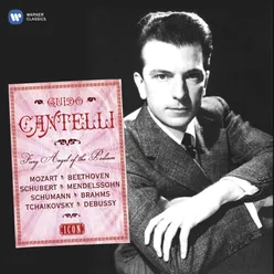 Symphony No. 7 in A Major, Op. 92: II. Allegretto