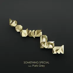 Something Special (feat. Paris Grey)