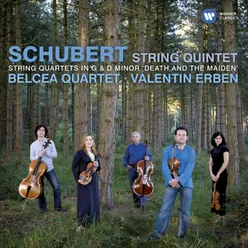 Schubert: String Quintet in C Major, D. 956: III. Scherzo (Presto) - Trio (Andante sostenuto)