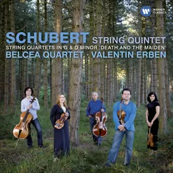 Schubert: String Quartet No. 15 in G Major, D. 887: I. Allegro molto moderato