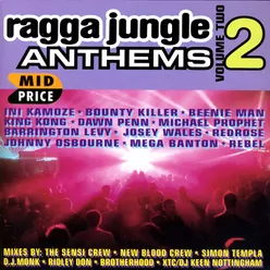 Ragga Jungle Anthems Vol. Two