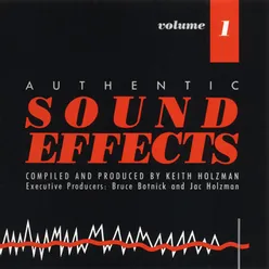 Authentic Sound Effects Vol. 1