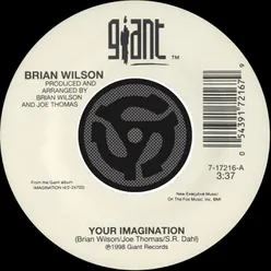 Your Imagination / Your Imagination (A Cappella) 45 Version
