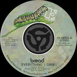 Everything I Own / I Don't Love You 45 Version