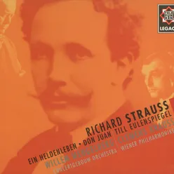 Strauss, Richard : Ein Heldenleben Op.40 : VIII Des Helden Weltflucht und Vollendung