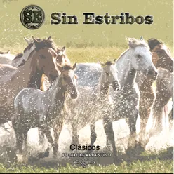 Sin Estribos: Clásicos