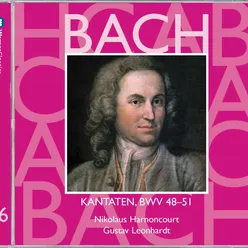 Bach, JS : Cantata No.49 Ich geh und suche mit Verlangen BWV49 : II Aria - "Ich geh und suche mit Verlangen" [Bass]