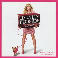 Legally Blonde (Remix)