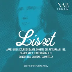 Années de Pèlerinage II, S. 161: No. 7, Après Une Lecture du Dante. Fantasia Quasi Sonata